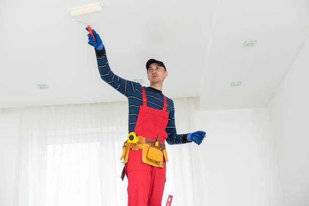 Best Repainting for Renovations  in Eustace, TX