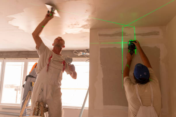 Best Drywall Removal and Disposal  in Eustace, TX